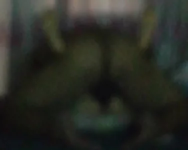 蜜芽-my471.mon网页忘忧草